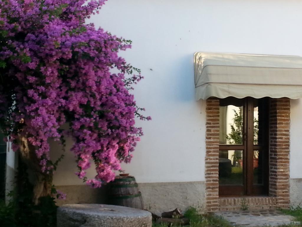 Agriturismo Malena Amica Exteriör bild